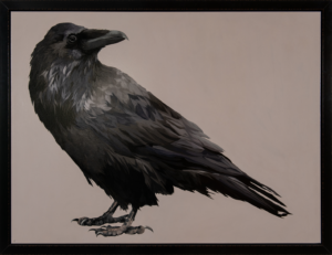 Crow